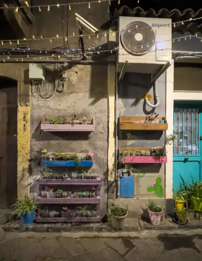 Eine bunte Pflanzenfassade in einem kleinen Ort bei Nacht