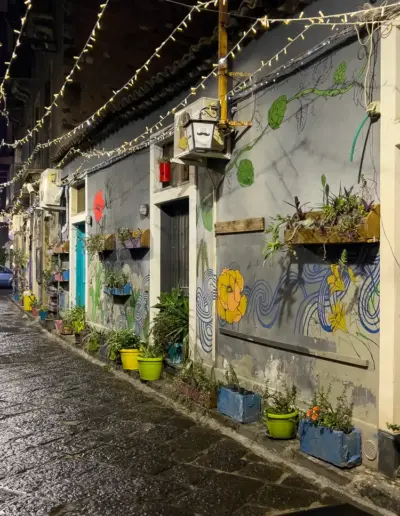 Eine schmale Gasse mit bunten Häusern und vielen Pflanzen in Töpfen. Die Gasse ist nachts beleuchtet.